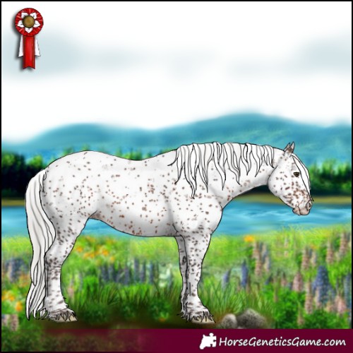 Horse Color:Silver Brown Sabino 