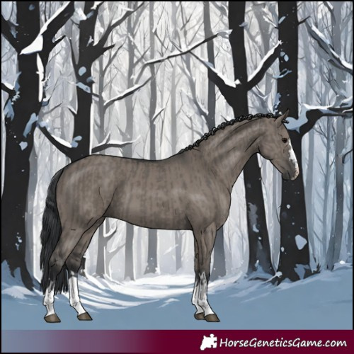 Horse Color:Grullo  and Grullo 