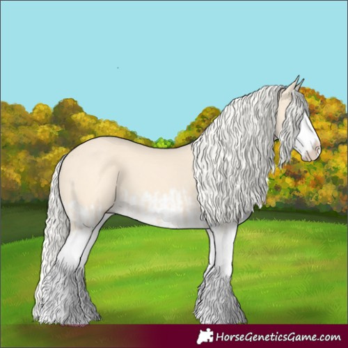 Horse Color:Cremello Splash  and Cremello Splash 