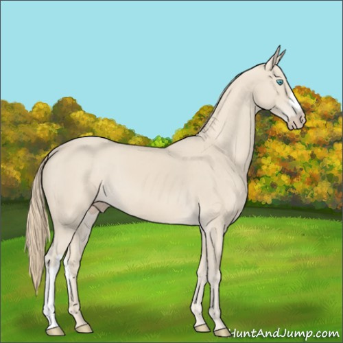 Horse Color:Smoky Creme 