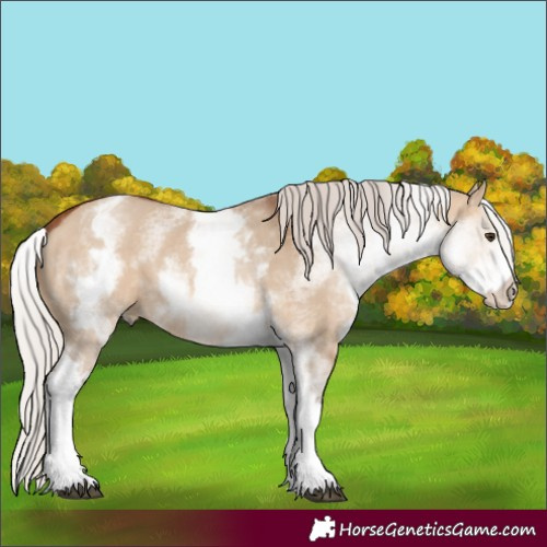 Horse Color:White Spotted Silver Brown Dun