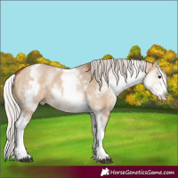 Horse Color:White Spotted Silver Brown Dun 