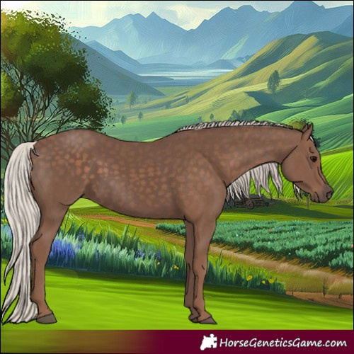 Horse Color:Silver Black 