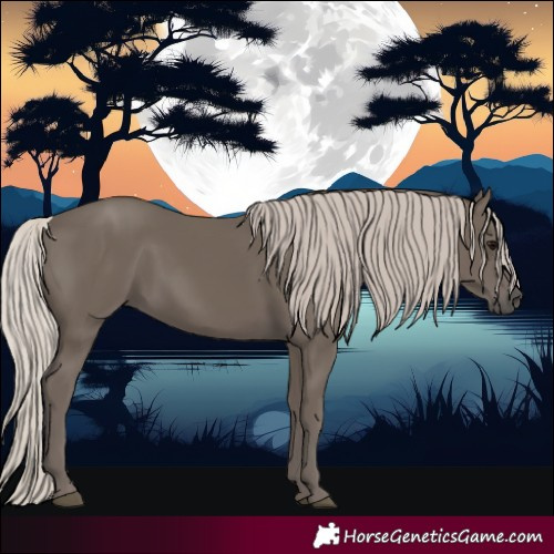 Horse Color:Silver Black 
