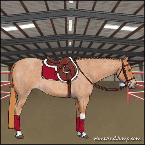 Horse Color:Red Roan Tobiano 