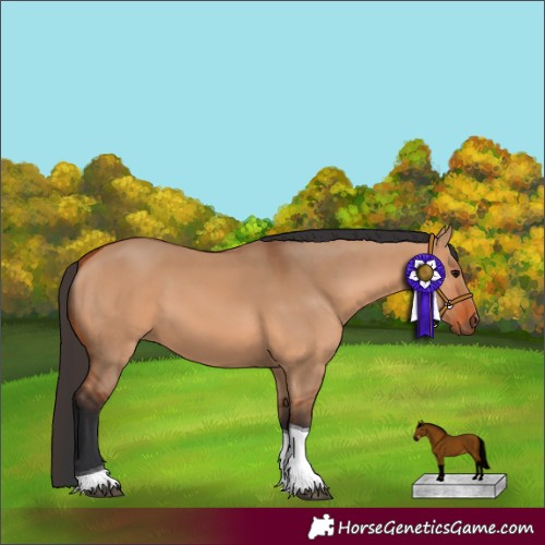 Horse Color:Bay Dun Tobiano 