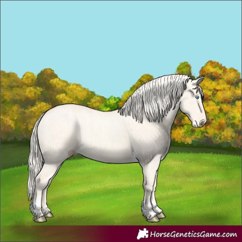 Horse Color:Cremello Dun  and Cremello Dun 