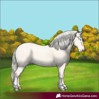 Horse Color:Cremello Dun  and Cremello Dun 