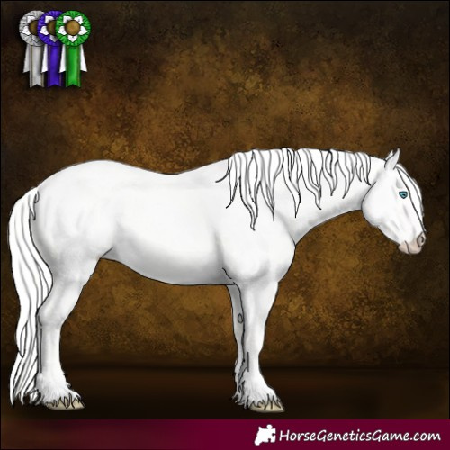 Horse Color:Cremello Dun 