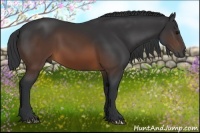 Horse Color:Brown 