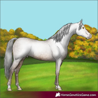 Horse Color:Gray Sable Champagne 