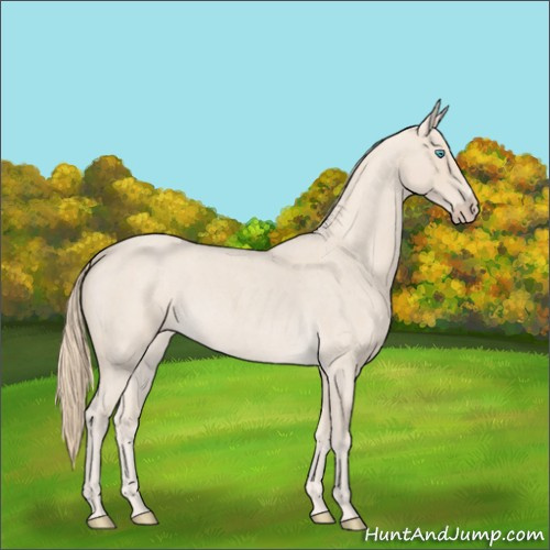 Horse Color:Smoky Creme Roan 