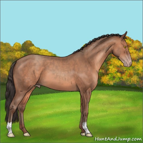 Horse Color:Sable Champagne 