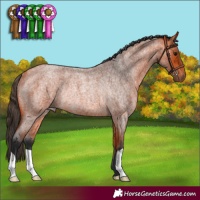 Horse Color:Bay Roan Rabicano