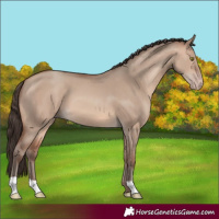 Horse Color:Sable Champagne Dun 