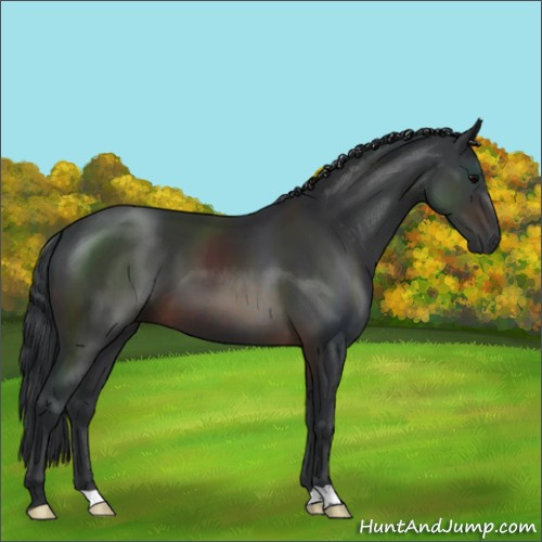 Horse Color:Brown 