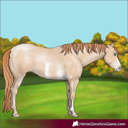 Horse Color:Smoky Black Pearl Sabino