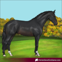 Horse Color:Brown 