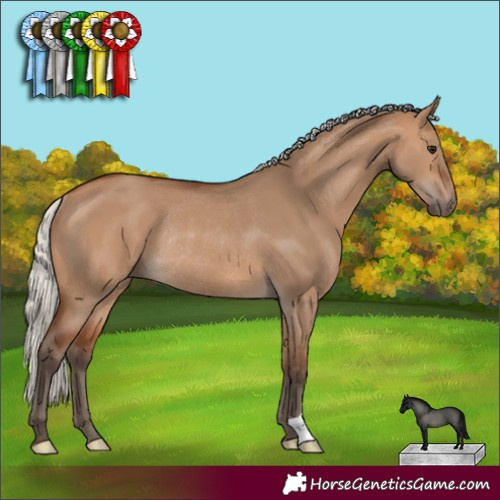 Horse Color:Silver Brown Dun Rabicano 