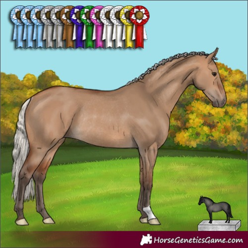 Horse Color:Silver Brown Dun Rabicano 