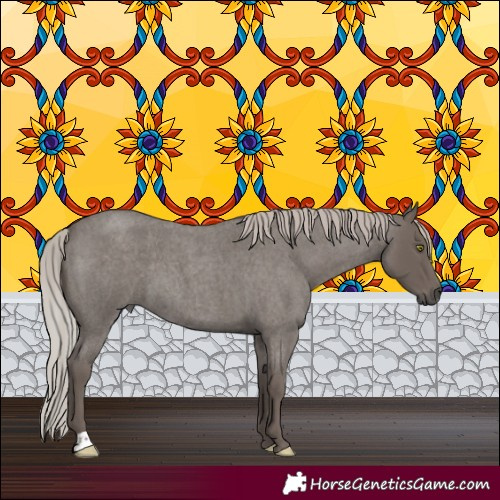 Horse Color:Silver Blue Roan 