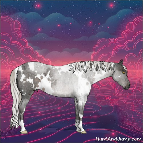 Horse Color:Gray White Spotted Silver Blue Roan Rabicano 