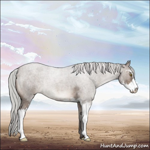 Horse Color:Silver Brown Roan Dun Sabino 