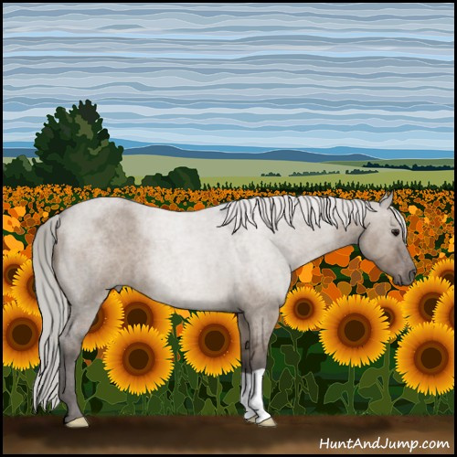 Horse Color:Silver Grullo Roan 