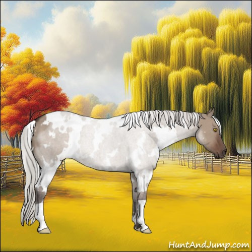 Horse Color:White Spotted Silver Grullo Roan 