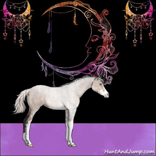 Horse Color:Silver Brown Roan Dun Sabino 