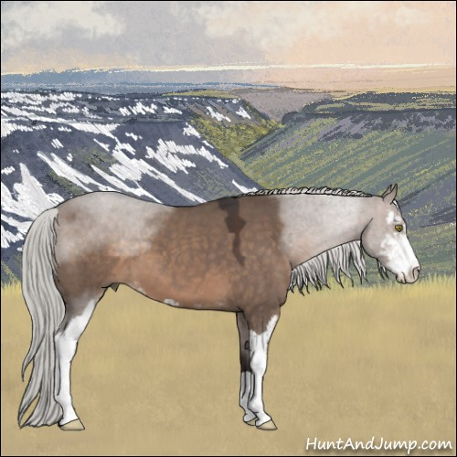 Horse Color:Silver Brown Roan Dun Sabino 