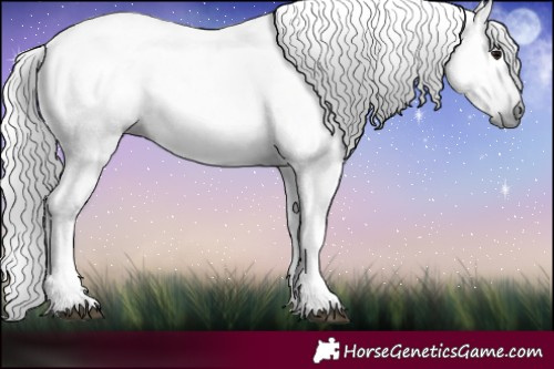 Horse Color:Gray Blue Roan 