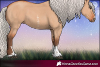 Horse Color:Silver Bay Dun Sabino
