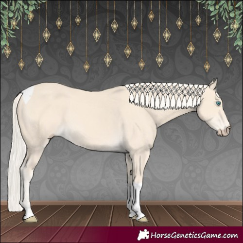 Horse Color:Cremello Tobiano 