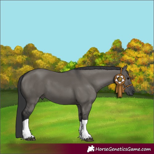 Horse Color:Grullo Tobiano 