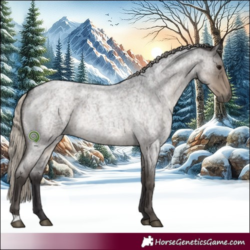 Horse Color:Silver Smoky Blue Roan Rabicano