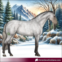 Horse Color:Silver Smoky Blue Roan Rabicano 