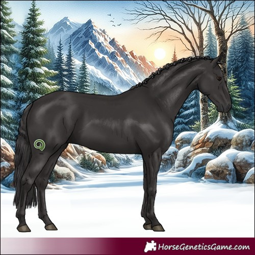 Horse Color:White Spotted Smoky Black Rabicano