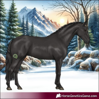 Horse Color:White Spotted Smoky Black Rabicano 