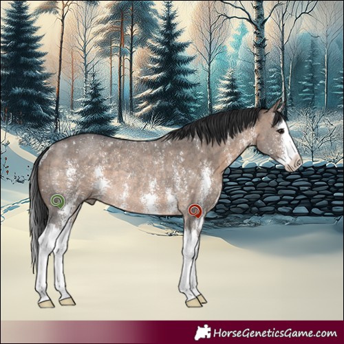 Horse Color:Brown Dun Sabino Splash Rabicano 