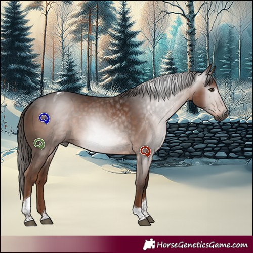 Horse Color:Gray Liver Chestnut Tobiano 