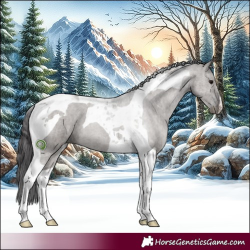 Horse Color:Smoky Grullo Tobiano 
