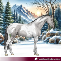Horse Color:Smoky Grullo Tobiano 