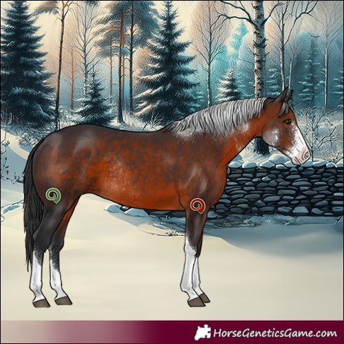 Horse Color:Brown Sabino Tobiano Rabicano 