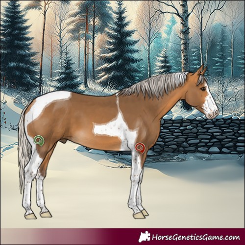 Horse Color:White Spotted Silver Buckskin Tobiano 
