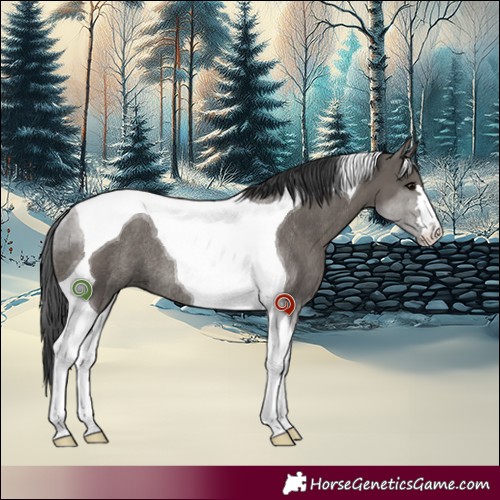 Horse Color:Grullo Tobiano Rabicano 