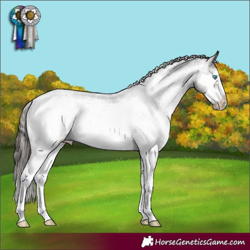 Horse Color:White Spotted Liver Chestnut Sabino Frame Appaloosa Rabicano 
