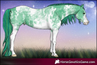 Horse Color:Painted Watercolor Black Sabino Tobiano 