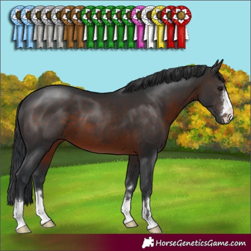 Horse Color:Brown 