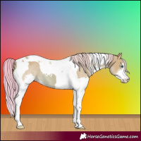 Horse Color:Watercolor Chestnut Splash Tobiano 